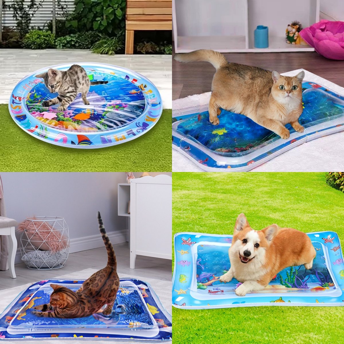 🔥Summer Hot Sale - 50% OFF🐶😻Water Sensormat Pet