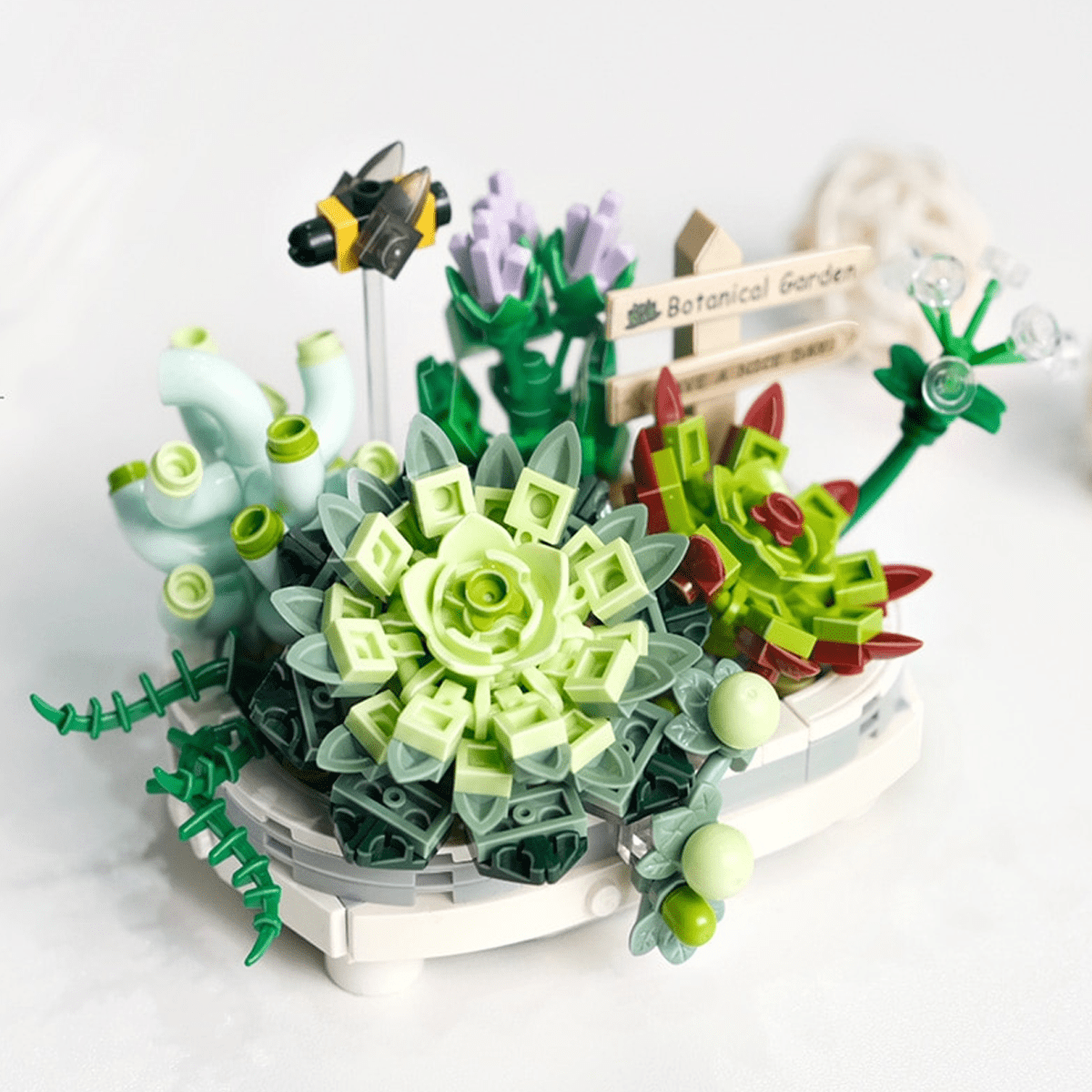 ?BUY TWO GET EXTRA 33% OFF?Mini Sakura Succulent Pots?