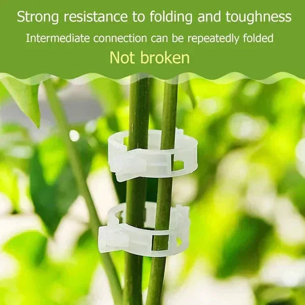 🗜️Clips For Climbing Plants – Plastic tomato ties and plant fasteners 🌱🍅
